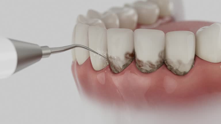 Reliable Dental contractor in Randolph, WI by Dentist Open Now